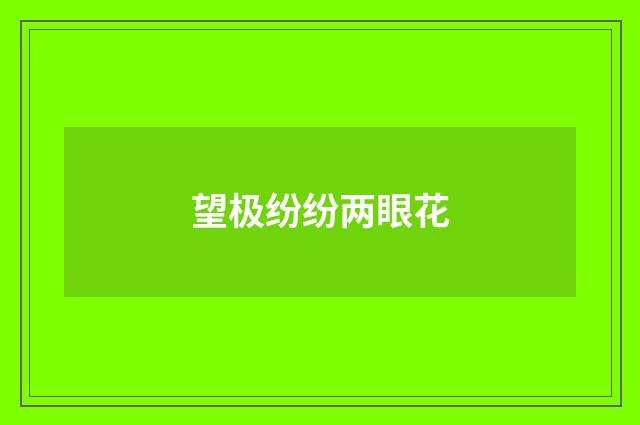 望极纷纷两眼花