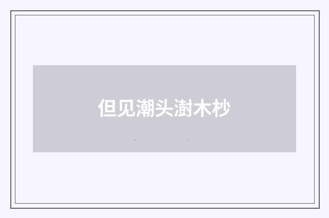 但见潮头澍木杪