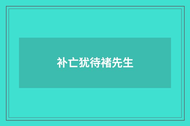 补亡犹待褚先生
