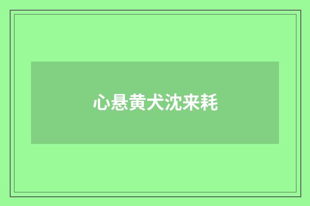 心悬黄犬沈来耗