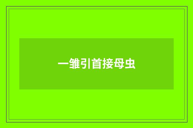 一雏引首接母虫
