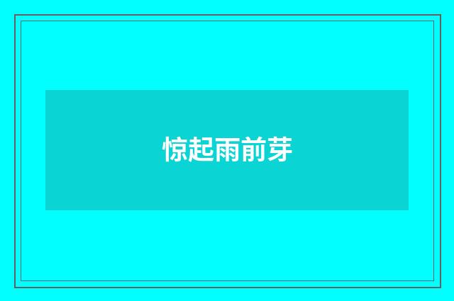 惊起雨前芽