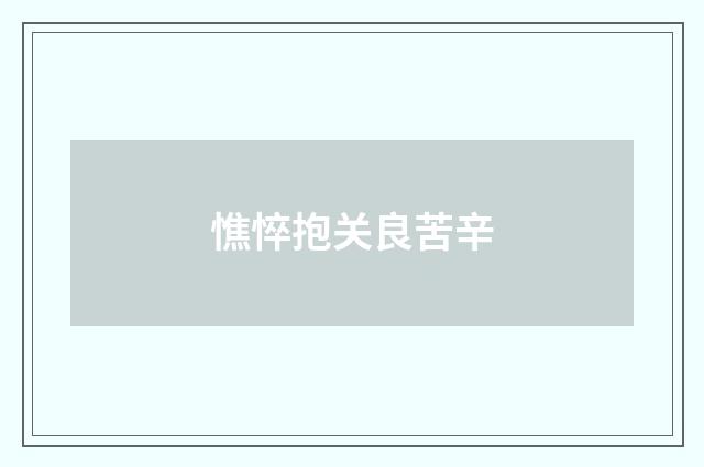 憔悴抱关良苦辛