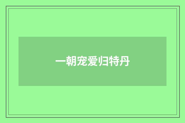 一朝宠爱归特丹