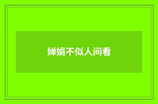 婵娟不似人间看
