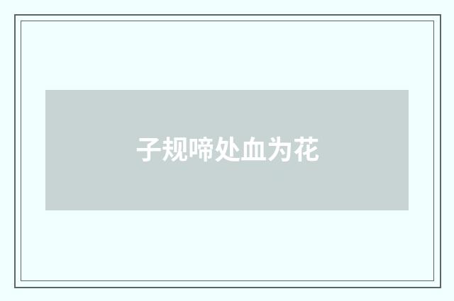 子规啼处血为花