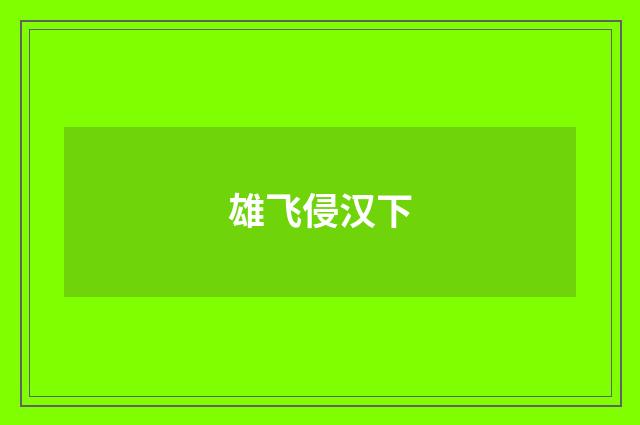 雄飞侵汉下