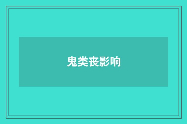 鬼类丧影响