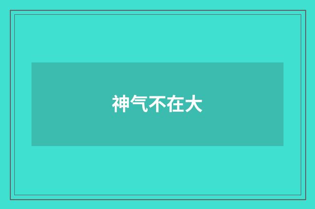 神气不在大