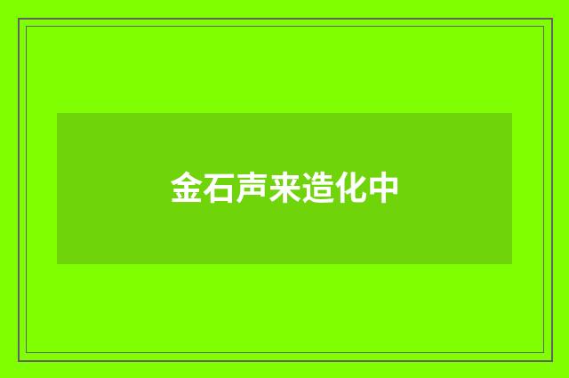 金石声来造化中
