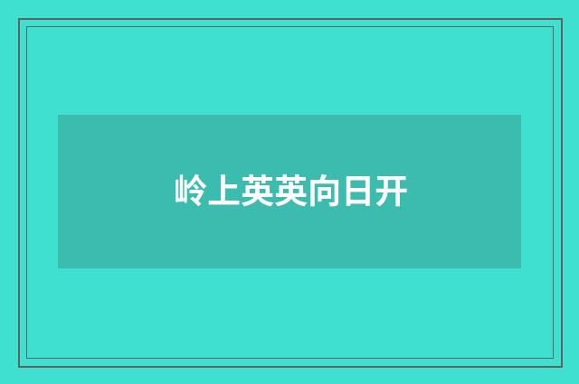 岭上英英向日开