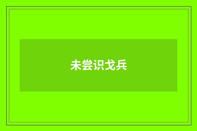 未尝识戈兵