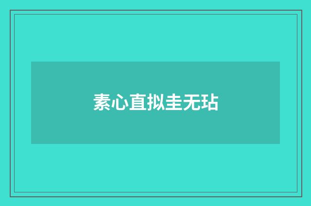 素心直拟圭无玷