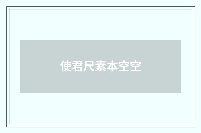 使君尺素本空空