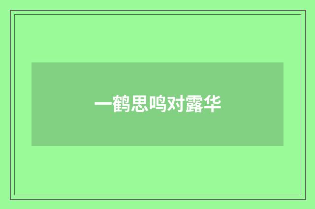 一鹤思鸣对露华