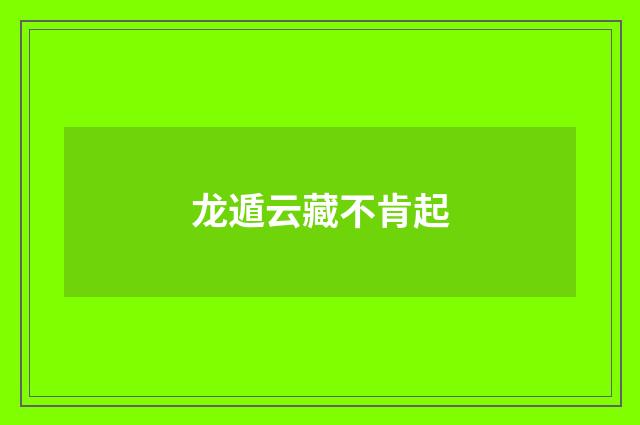 龙遁云藏不肯起