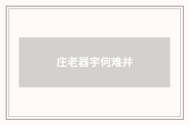 庄老器宇何难并
