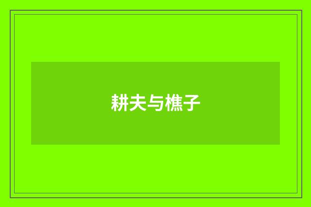 耕夫与樵子