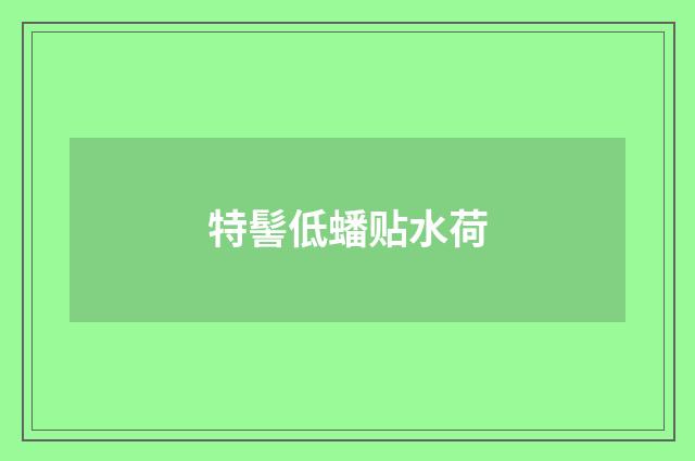 特髻低蟠贴水荷