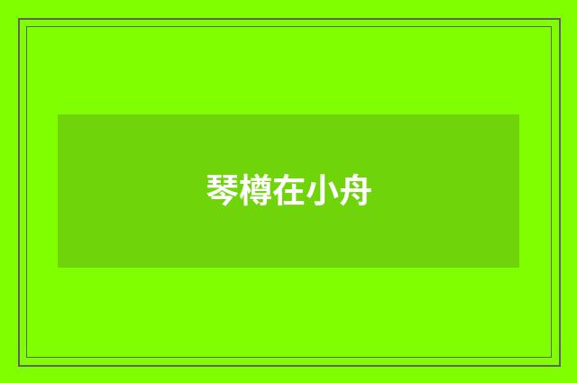 琴樽在小舟