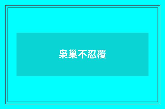 枭巢不忍覆