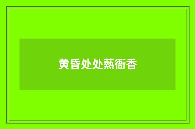 黄昏处处爇衙香
