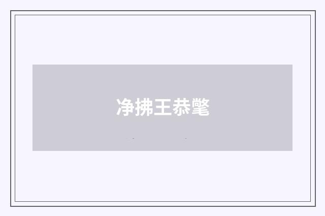 净拂王恭氅