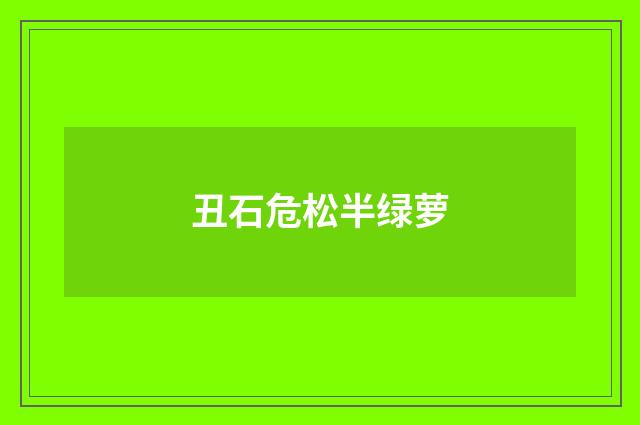 丑石危松半绿萝
