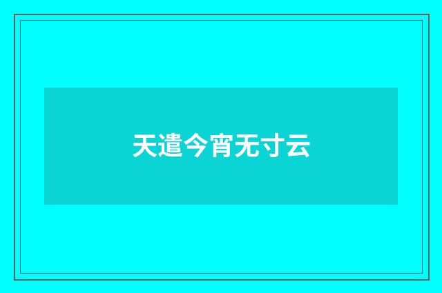 天遣今宵无寸云