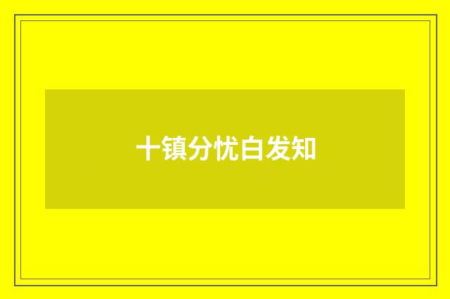 十镇分忧白发知