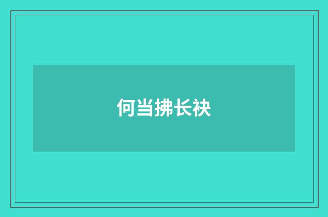 何当拂长袂