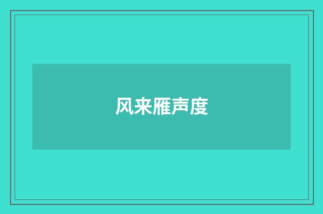 风来雁声度