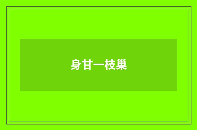 身甘一枝巢