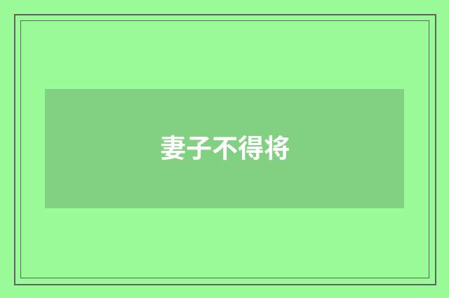 妻子不得将