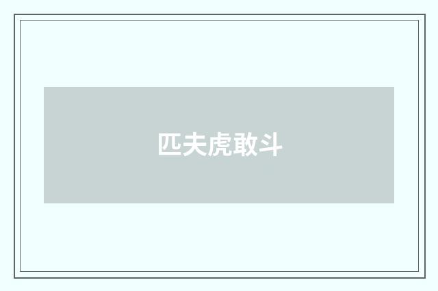 匹夫虎敢斗