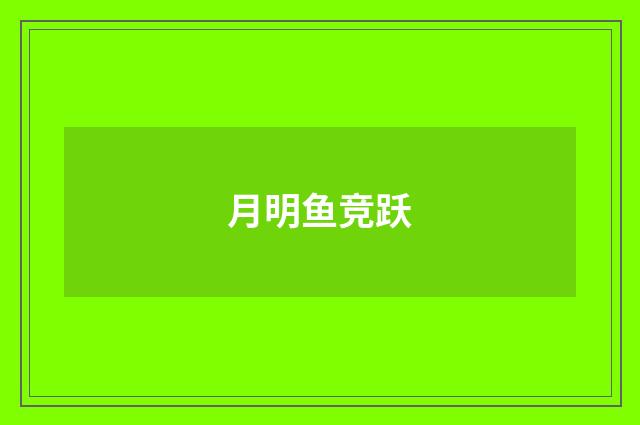 月明鱼竞跃
