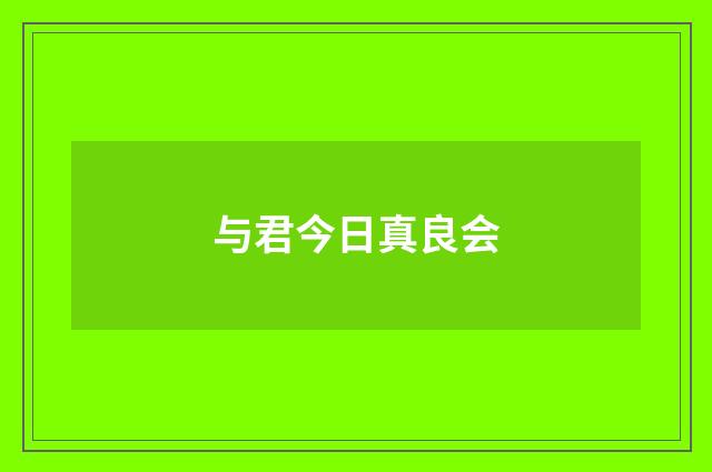 与君今日真良会