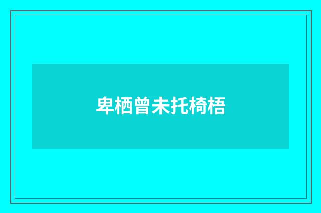 卑栖曾未托椅梧