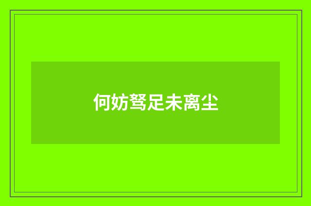 何妨驽足未离尘
