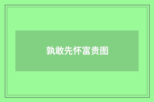孰敢先怀富贵图