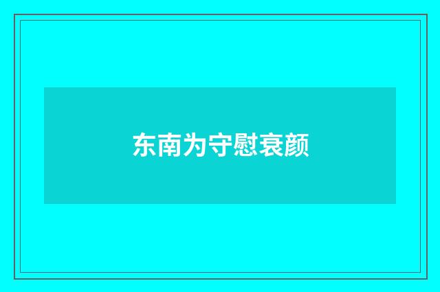 东南为守慰衰颜