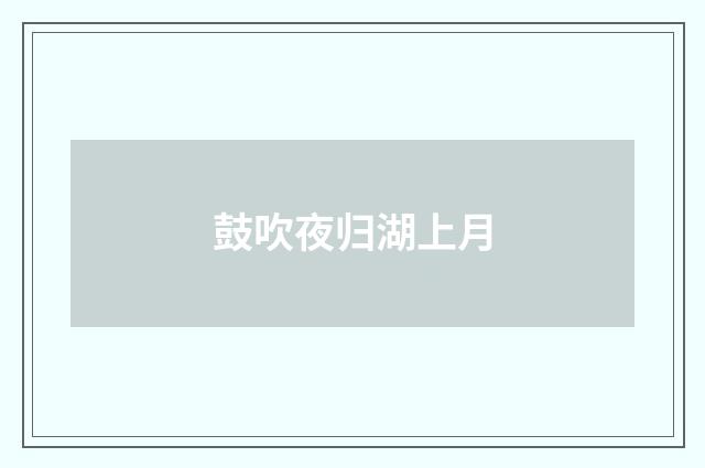 鼓吹夜归湖上月
