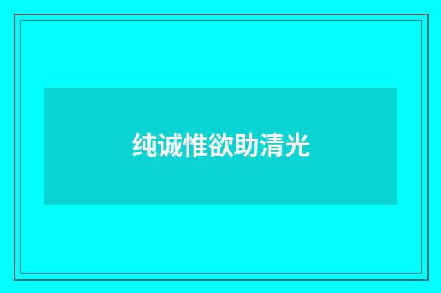 纯诚惟欲助清光