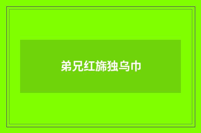 弟兄红旆独乌巾