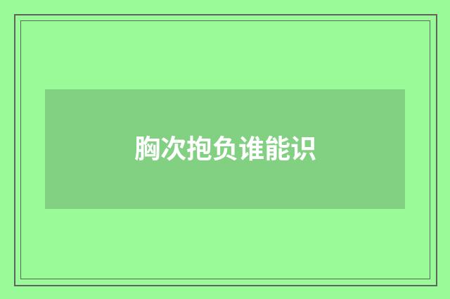 胸次抱负谁能识