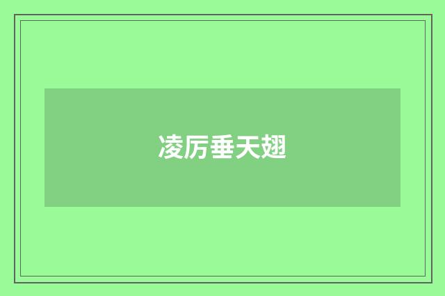凌厉垂天翅