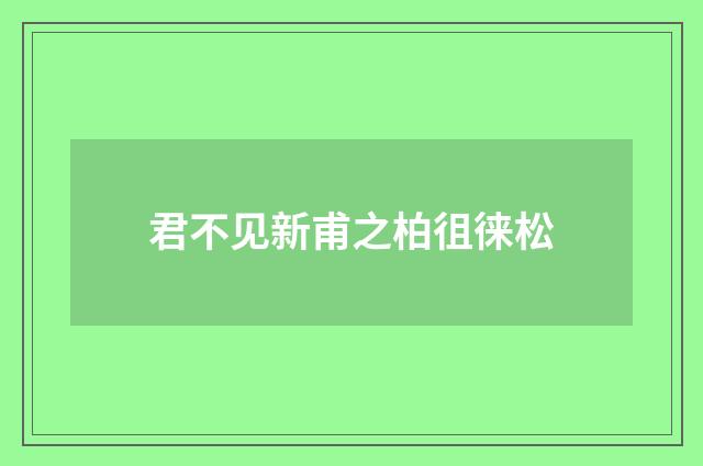 君不见新甫之柏徂徕松