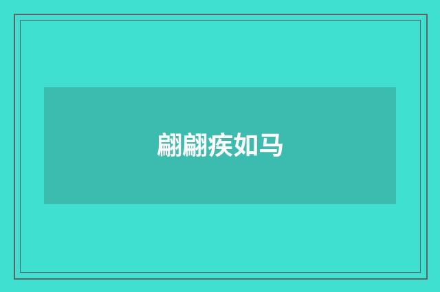 翩翩疾如马