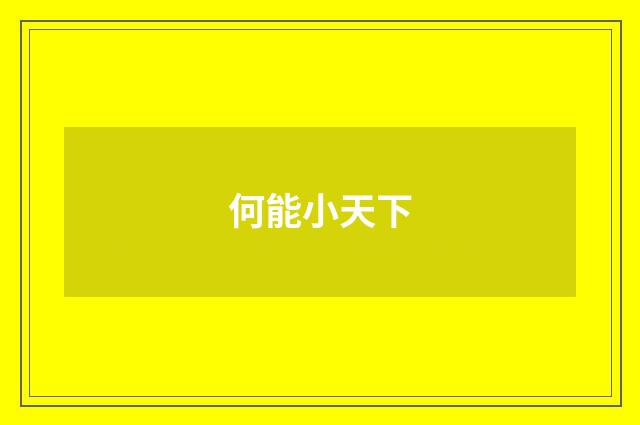 何能小天下
