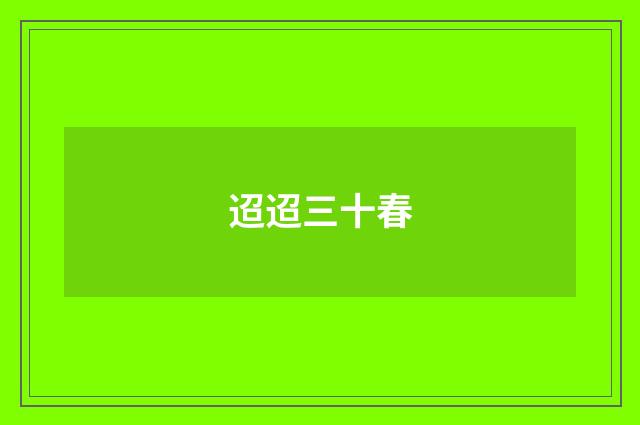 迢迢三十春